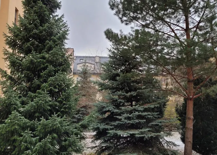 Czerwone Maki * وارسو