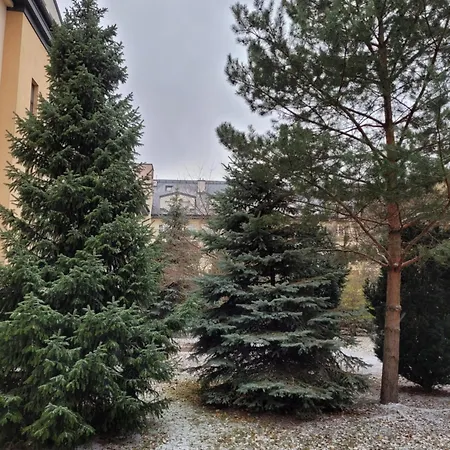 Czerwone Maki * 华沙